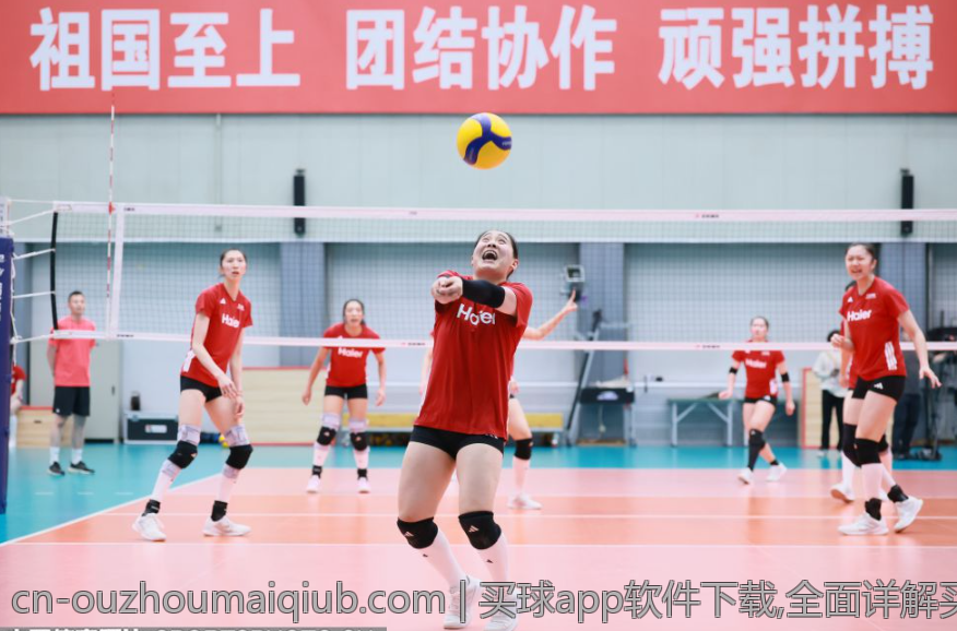 买球app软件下载,全面详解买球app最新下载渠道